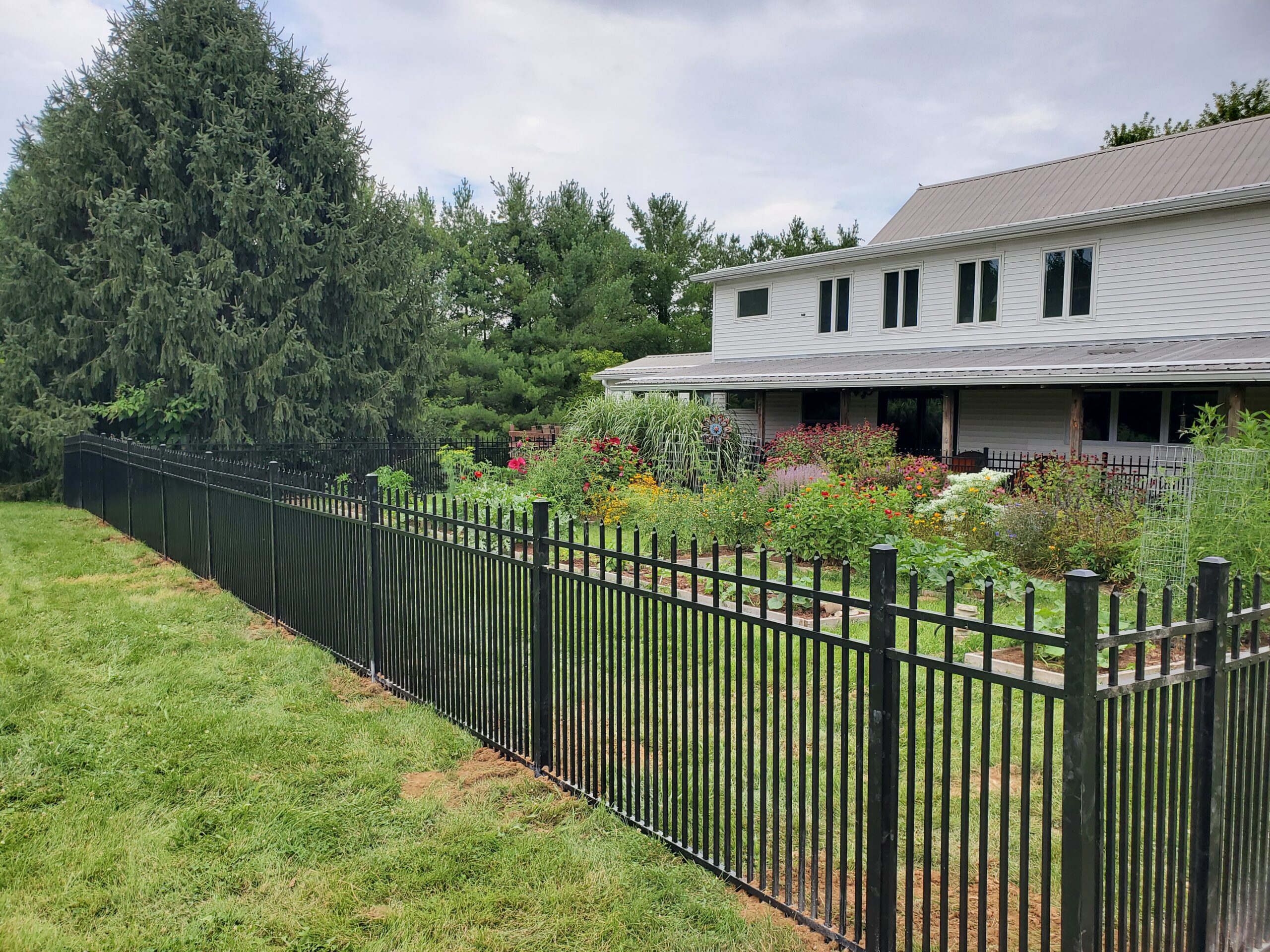 Ornamental aluminum fence, 200 ft, W Eller Rd